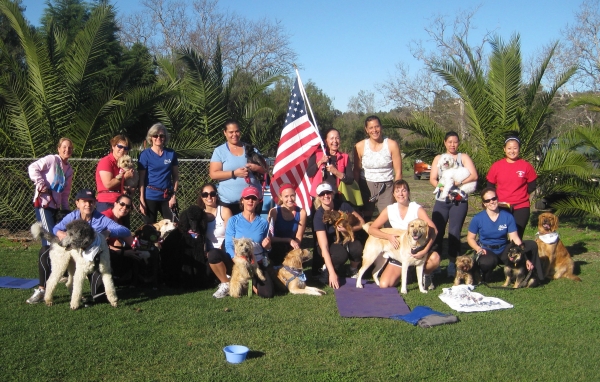Dog training fitness class